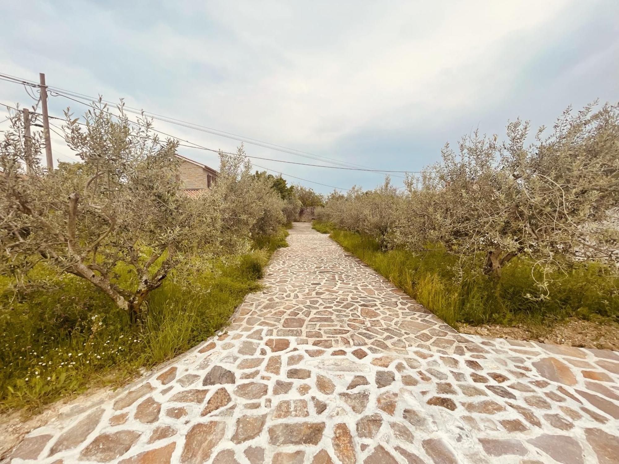 Paradise Villas With Swimming Pool Koper Room photo